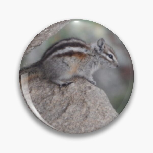 Item preview, Least Chipmunk designed and sold by Coley Optera.