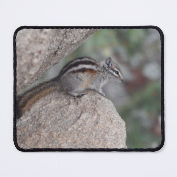Item preview, Least Chipmunk designed and sold by Coley Optera.