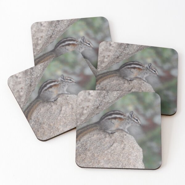 Item preview, Least Chipmunk designed and sold by Coley Optera.