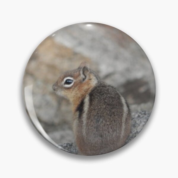 Item preview, Golden-mantled Ground Squirrel designed and sold by Coley Optera.