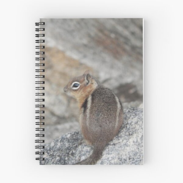 Item preview, Golden-mantled Ground Squirrel designed and sold by Coley Optera.