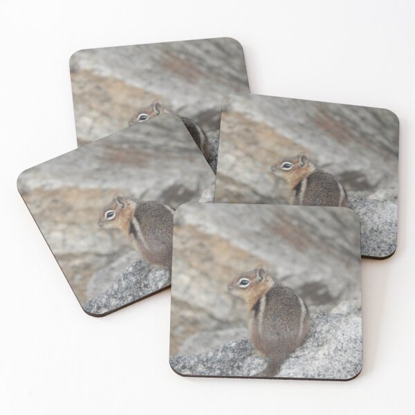 Item preview, Golden-mantled Ground Squirrel designed and sold by Coley Optera.