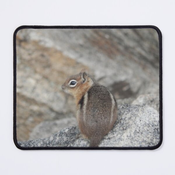 Item preview, Golden-mantled Ground Squirrel designed and sold by Coley Optera.