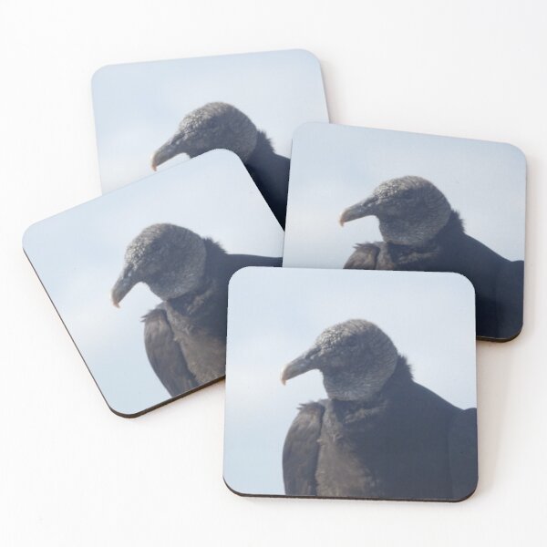 Item preview, Black Vulture designed and sold by Coley Optera.