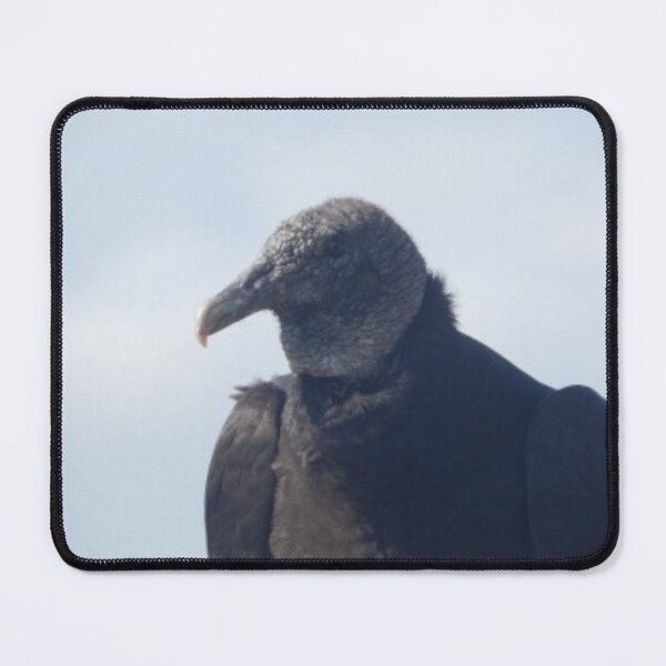 Item preview, Black Vulture designed and sold by Coley Optera.