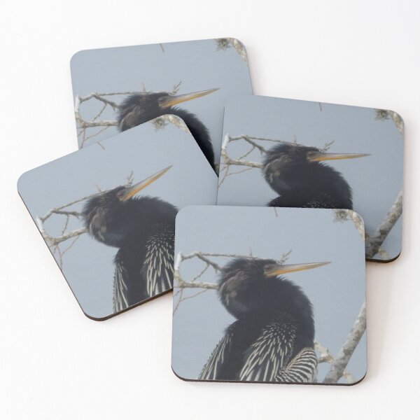 Item preview, Anhinga designed and sold by Coley Optera.