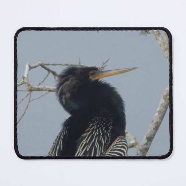 Item preview, Anhinga designed and sold by Coley Optera.