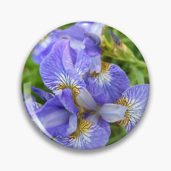 Item preview, Lost in the Delicate Beauty of These Irises designed and sold by Lana Magnolia.