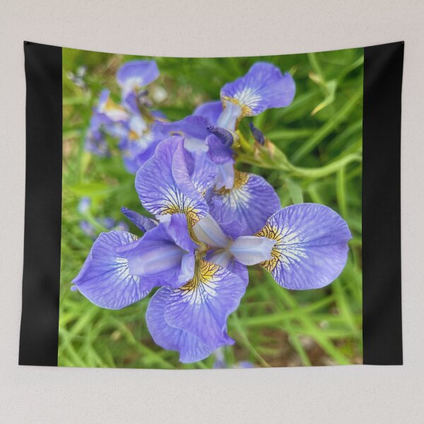 Item preview, Lost in the Delicate Beauty of These Irises designed and sold by Lana Magnolia.