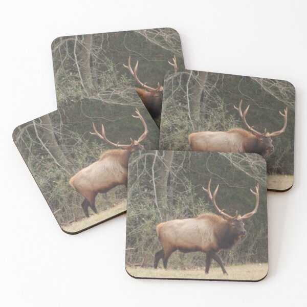 Item preview, Bull Elk designed and sold by Coley Optera.