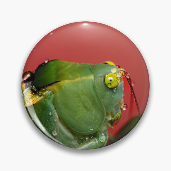 Item preview, Vibrant Green Katydid with Morning Dew designed and sold by John-Erna.
