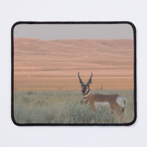 Item preview, Pronghorn designed and sold by Coley Optera.