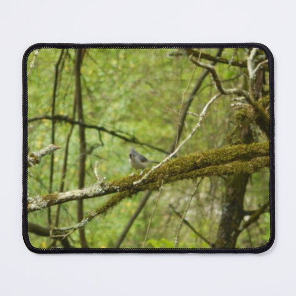Item preview, Tufted Titmouse designed and sold by Coley Optera.