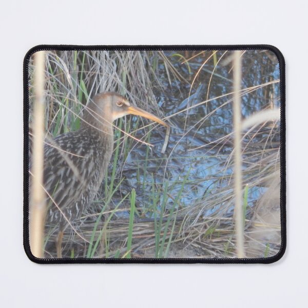 Item preview, Clapper Rail designed and sold by Coley Optera.