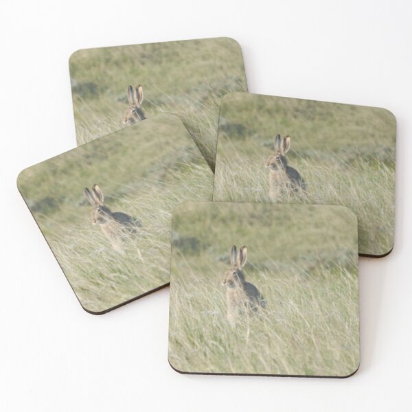 Item preview, White-tailed Jackrabbit designed and sold by Coley Optera.