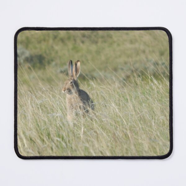 Item preview, White-tailed Jackrabbit designed and sold by Coley Optera.