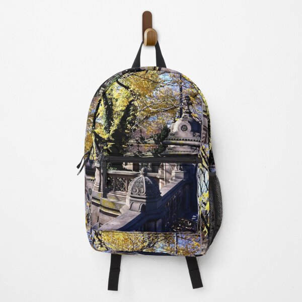 Item preview, New York Central Park in Fall designed and sold by 2211221122.