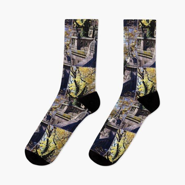 Item preview, New York Central Park in Fall designed and sold by 2211221122.