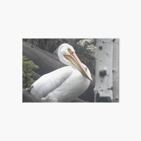 Item preview, Majestic Mountain Pelican designed and sold by Pierce1719.