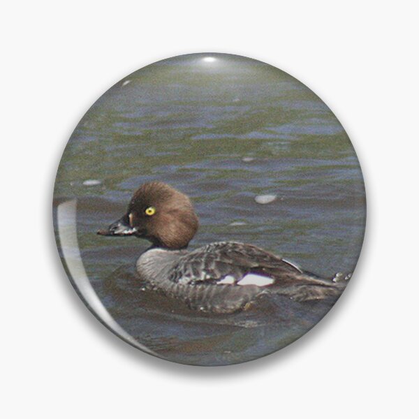 Item preview, Swimming Common Goldeneye Duck designed and sold by Pierce1719.