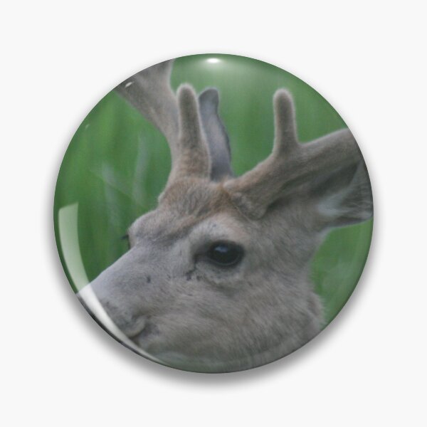 Item preview, Majestic Buck Mule Deer designed and sold by Pierce1719.
