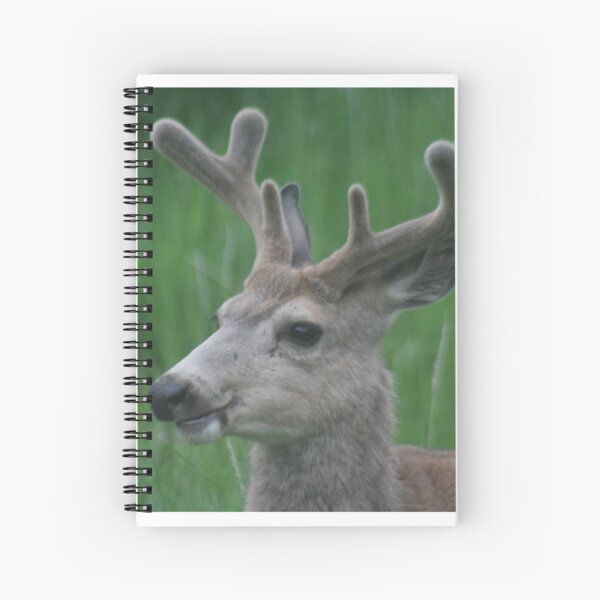 Item preview, Majestic Buck Mule Deer designed and sold by Pierce1719.