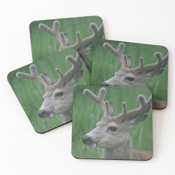 Item preview, Majestic Buck Mule Deer designed and sold by Pierce1719.