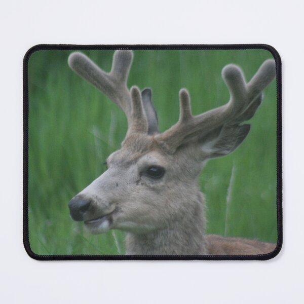 Item preview, Majestic Buck Mule Deer designed and sold by Pierce1719.