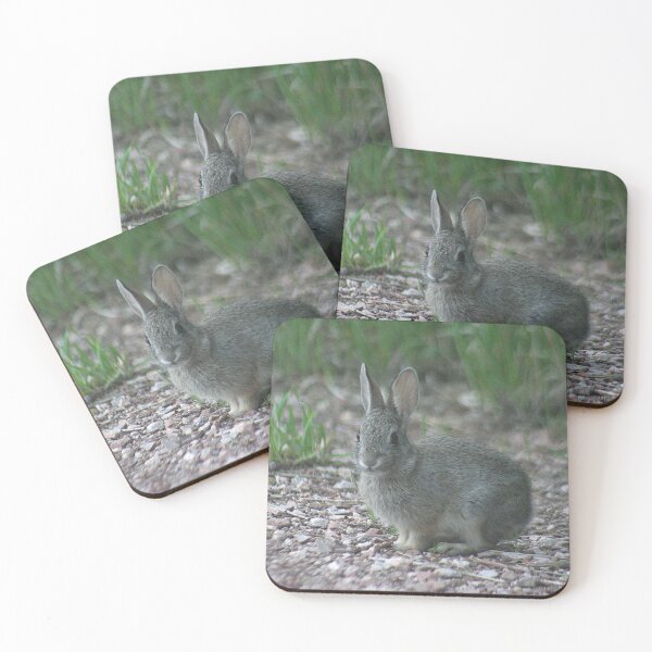 Item preview, Photogenic Baby Bunny designed and sold by Pierce1719.