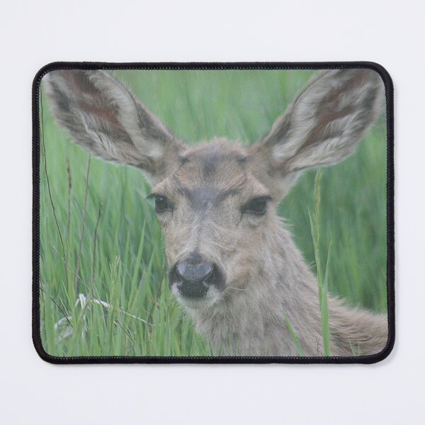 Item preview, Doe Mule Deer designed and sold by Pierce1719.