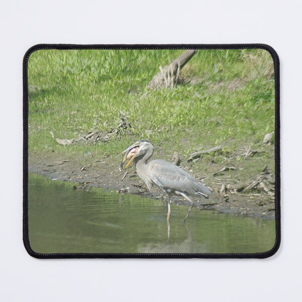 Item preview, Heron Eating Bluegill designed and sold by Pierce1719.