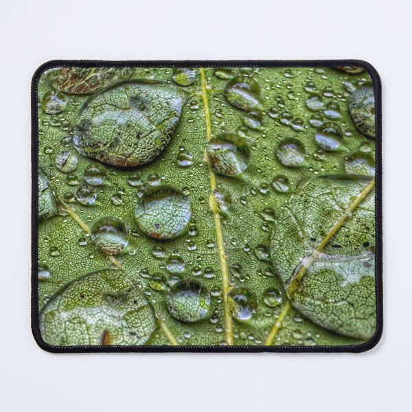 Item preview, Leaf Droplets designed and sold by MichaelIery.