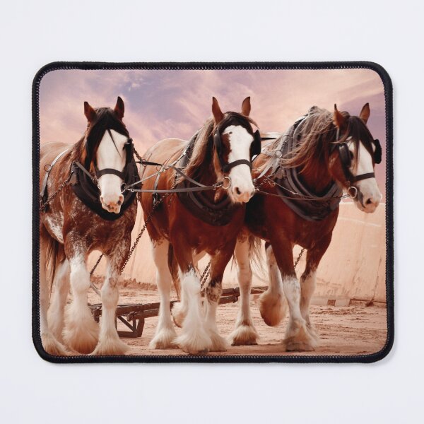 Item preview,  HEAVY HORSES, TAKE A LOOK AT MY ART WORK OF THESE MAGNIFCENT ANIMALS designed and sold by Barbara Jean Photo Art And Design.