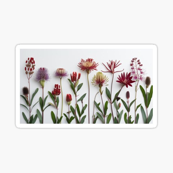 Item preview, Australian Flora designed and sold by CSebbY_Designs.