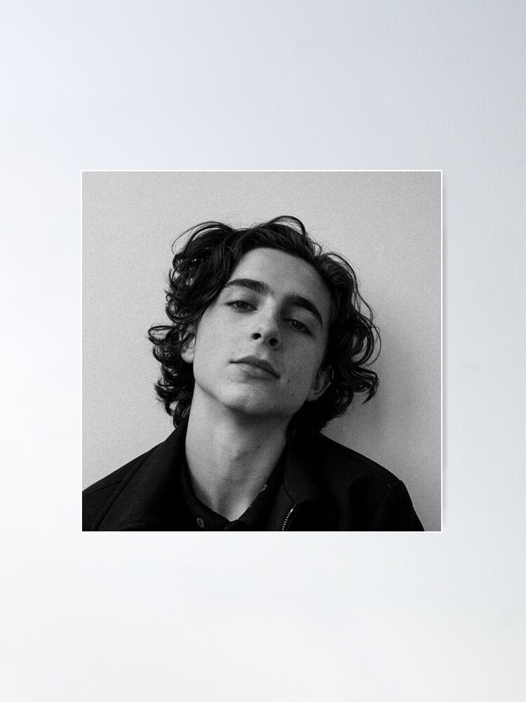  Timothee Chalamet Poster (49) Canvas Poster Bedroom