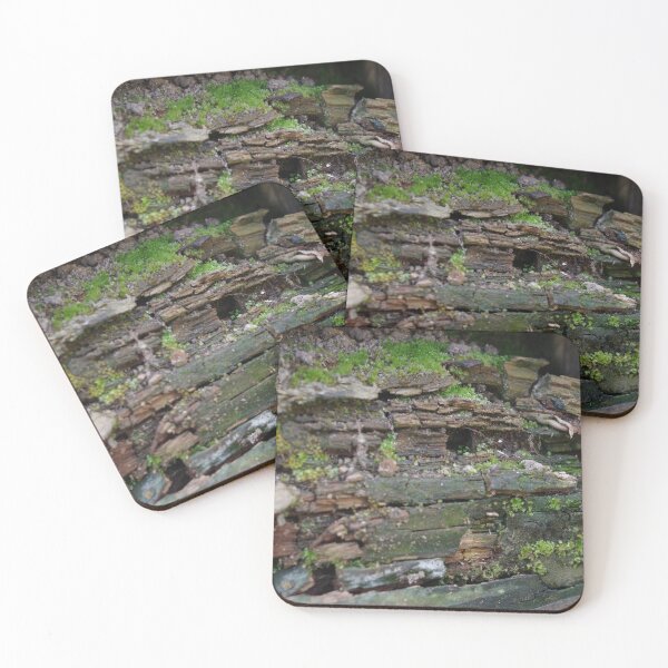 Item preview, Retaining Wall Decay designed and sold by JenGo Creative.