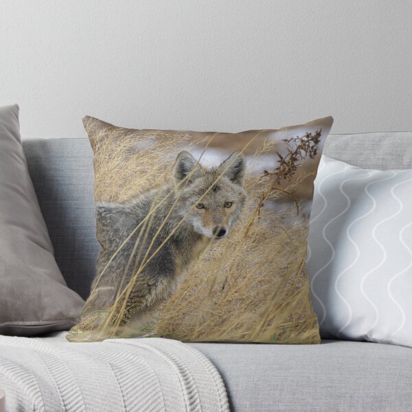 Item preview, Coyote Close designed and sold by Patrick Kavanagh.