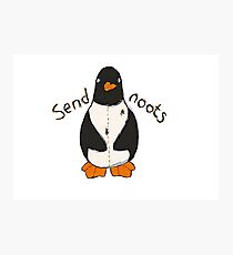 Send Noots!! Photographic Print