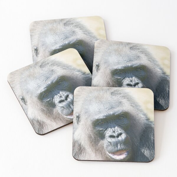 Artikelvorschau, Gorilla Biddys silbernes Leuchten in der Sonne entworfen und verkauft von rawshutterbug.