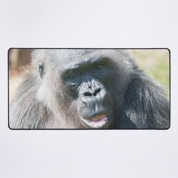 Item preview, Gorilla Biddy’s Silver Glow in the Sun designed and sold by rawshutterbug.