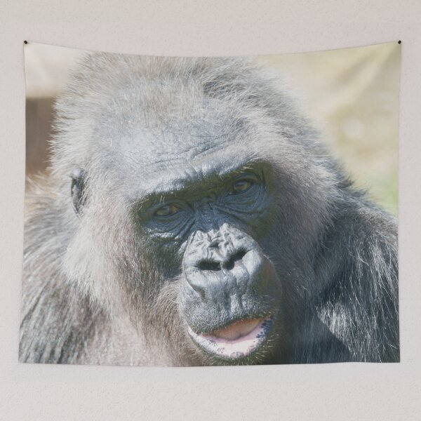Artikelvorschau, Gorilla Biddys silbernes Leuchten in der Sonne entworfen und verkauft von rawshutterbug.