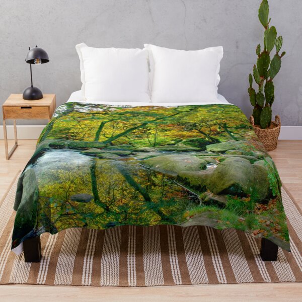 Item preview, Padley Gorge Reflection designed and sold by Alisonchambers2.
