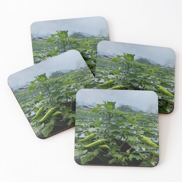 Item preview, chili plants designed and sold by ElinaAlton.