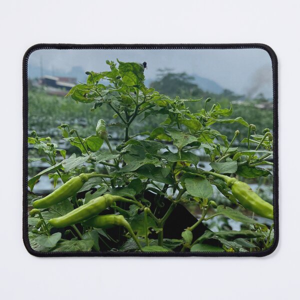 Item preview, chili plants designed and sold by ElinaAlton.