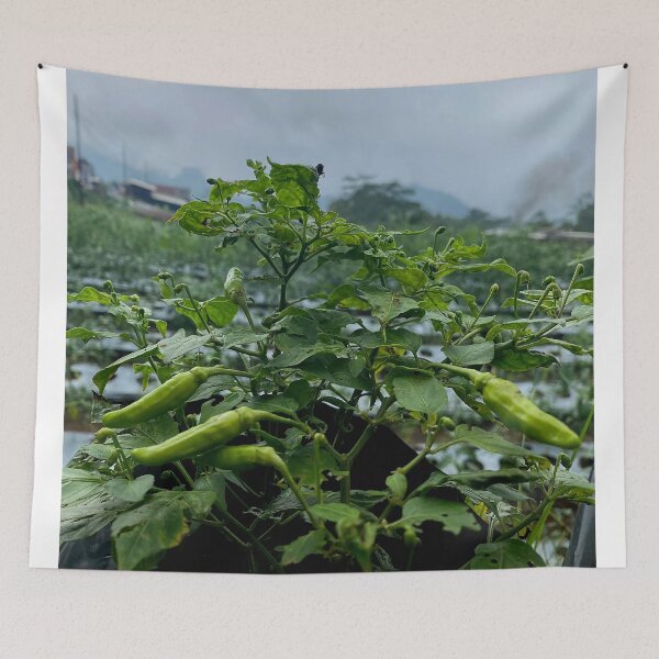 Item preview, chili plants designed and sold by ElinaAlton.