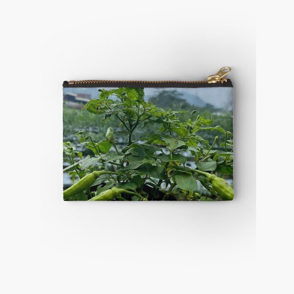 Item preview, chili plants designed and sold by ElinaAlton.