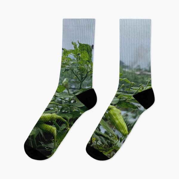 Item preview, chili plants designed and sold by ElinaAlton.
