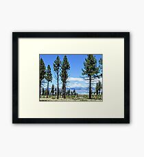 A Glimpse Of Mono Lake Framed Print
