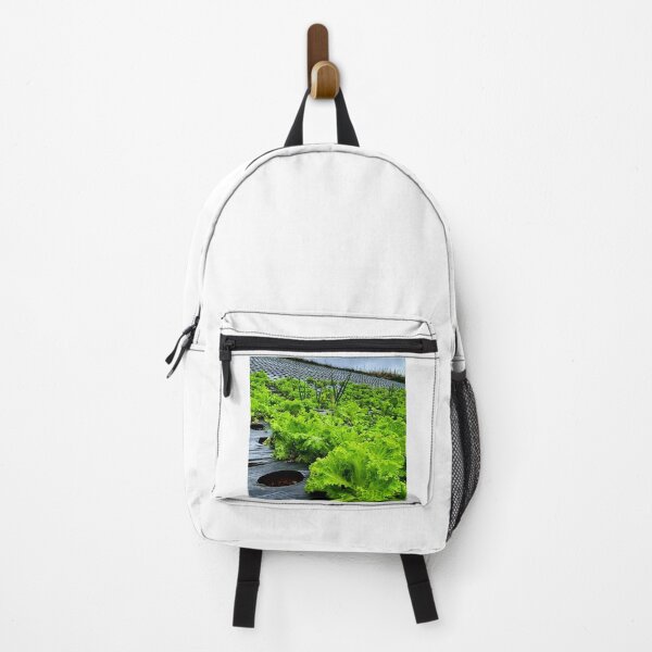 Item preview, lettuce plants designed and sold by ElinaAlton.