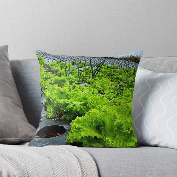 Item preview, lettuce plants designed and sold by ElinaAlton.